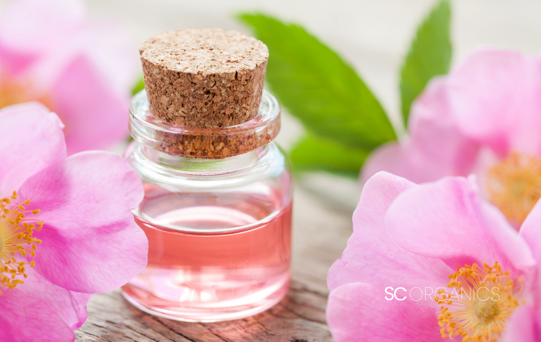 Wild Rose Oil: Main Ingredient Found in Certified Organic Hydraflore Skincare Range